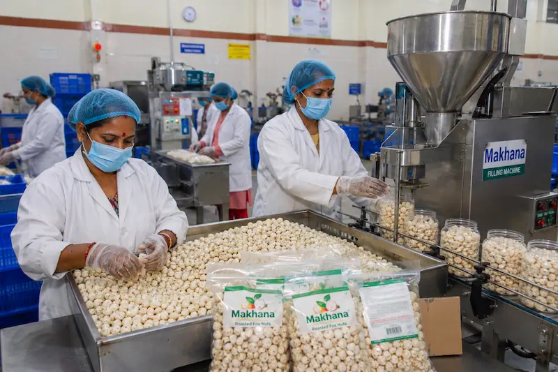 Makhana Processing Business